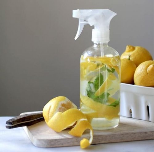 Limpador cítrico para o piso em garrafa com spray