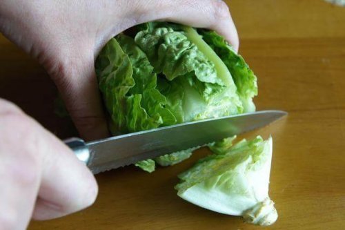 Para fazer os Enroladinhos de alface corte o alface pequeno