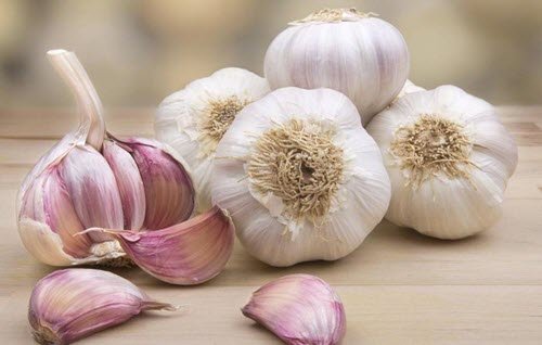 Alho como tratamento caseiro contra picadas de abelha