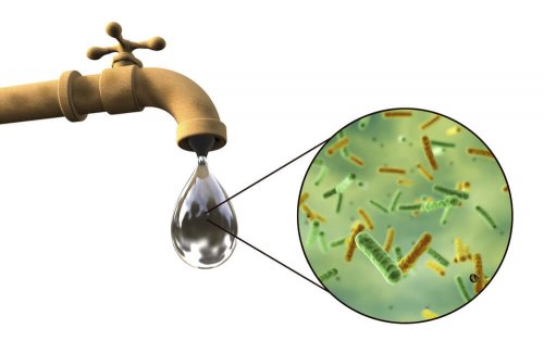Uma infecção intestinal pode ser causada pela água contaminada
