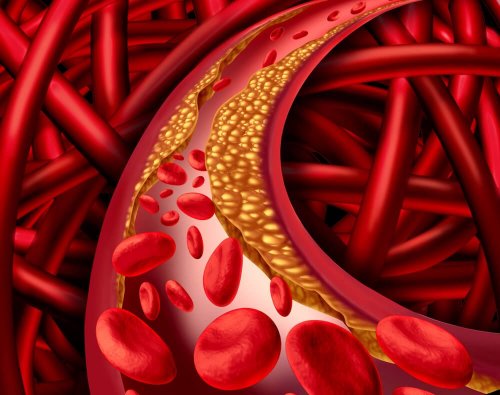 Glóbulos vermelhos no sangue
