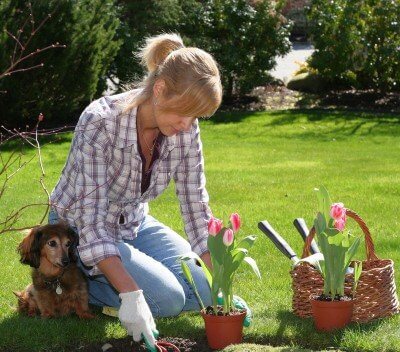 Aproveite para cuidar do seu jardim durante as férias em casa