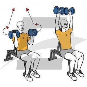 exercícios com halteres para fortalecer os ombros
