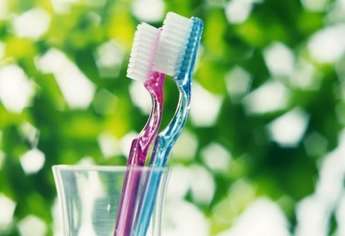 Escova de dentes é um dos objetos que acumulam bactérias