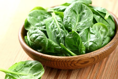 Vegetal de folhas verdes