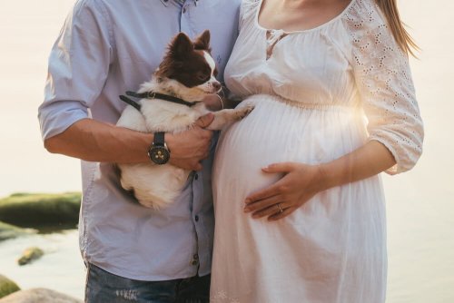 Para contar que está grávida pode usar um cãozinho
