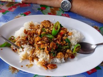 Enchilada de frango com arroz