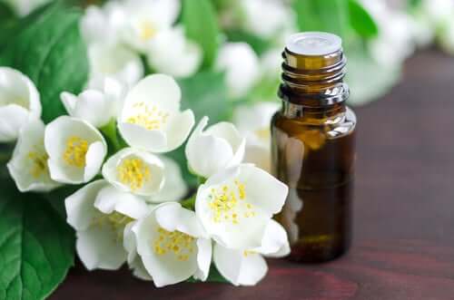 A glicerina vegetal é outro remédio natural para o tratamento da língua branca