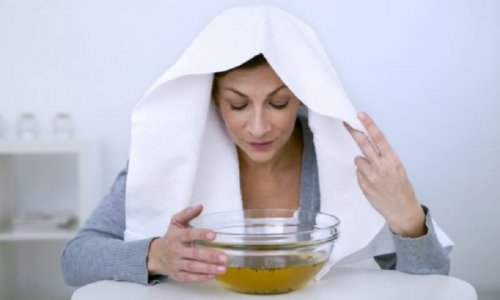 Inalação com vapor de eucalipto é um dos remédios naturais efetivos contra os sintomas da blastomicose