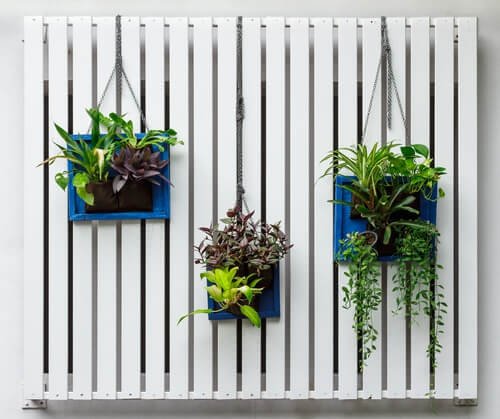 Jardim vertical