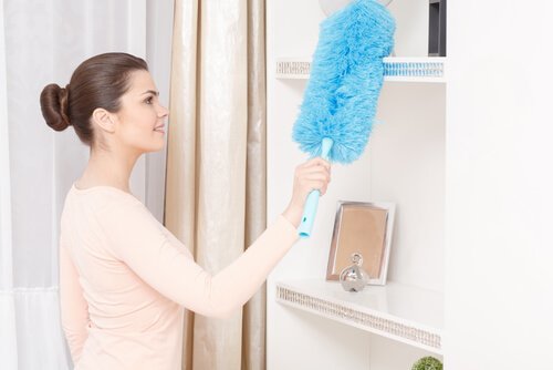 5 formas de purificar o ar da sua casa naturalmente