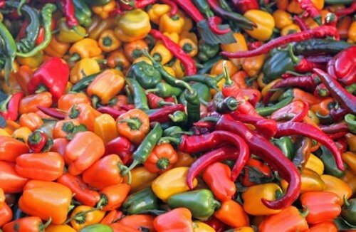 Pimenta chili para preparar enchilada de frango com arroz
