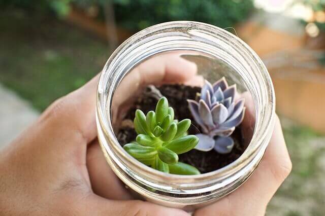 ideias para decorar um jardim pequeno