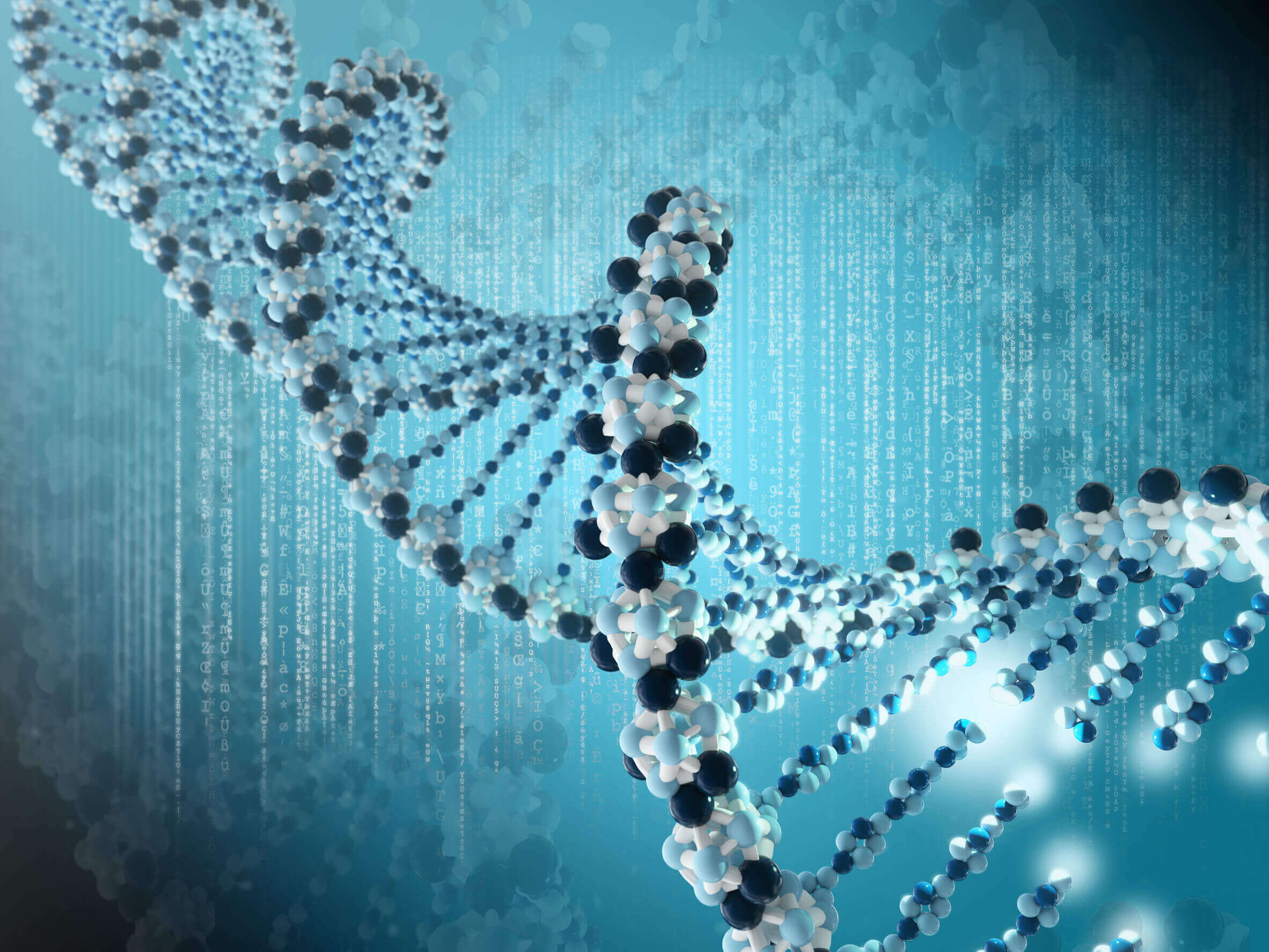 Por que eu engordo se estou fazendo dieta?