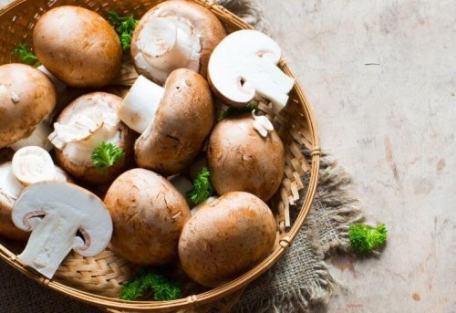 Espaguete com abóbora e champignons