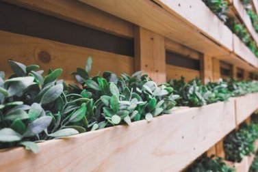 6 elementos que podemos reciclar para decorar o jardim