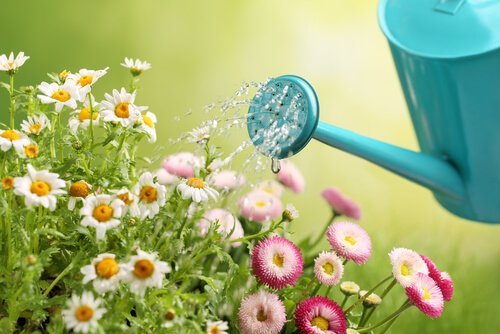 Faça seu próprio regador para o jardim