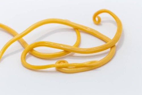 Remédios com cebola roxa para combater os vermes intestinais