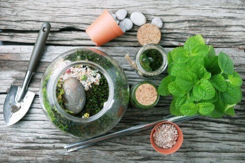 Formas de terrários para decorar a casa