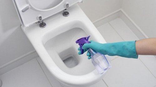 Pode limpar o vaso sanitário com vinagre branco