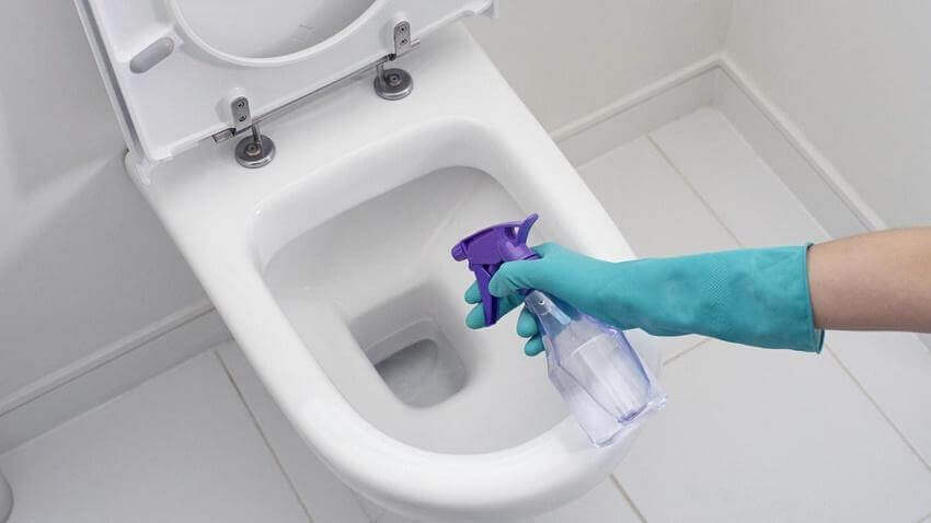 formas de purificar o ar da sua casa naturalmente
