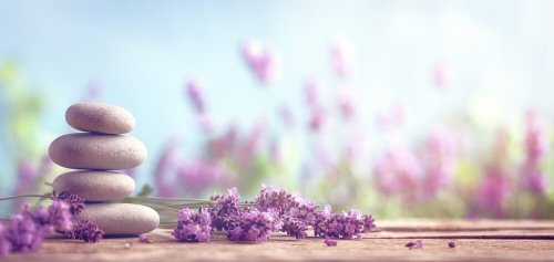 7 remédios simples à base de ervas para dizer adeus ao estresse