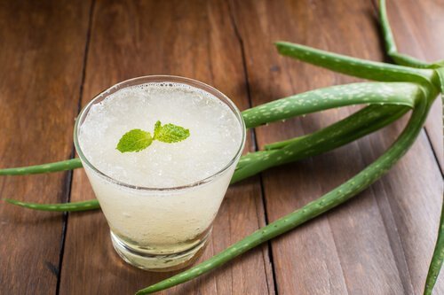 Remédio de aloe vera para aumentar as plaquetas naturalmente