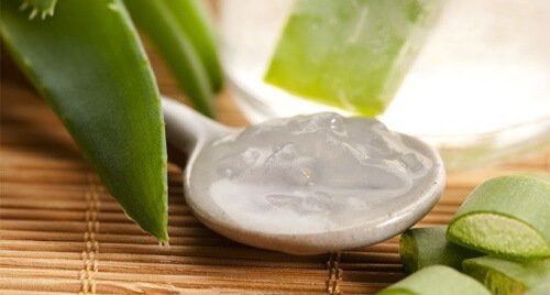 Gel de aloe vera para aumentar as plaquetas naturalmente