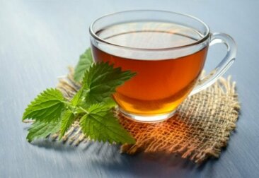 5 bebidas à base de ervas para prevenir pedras nos rins