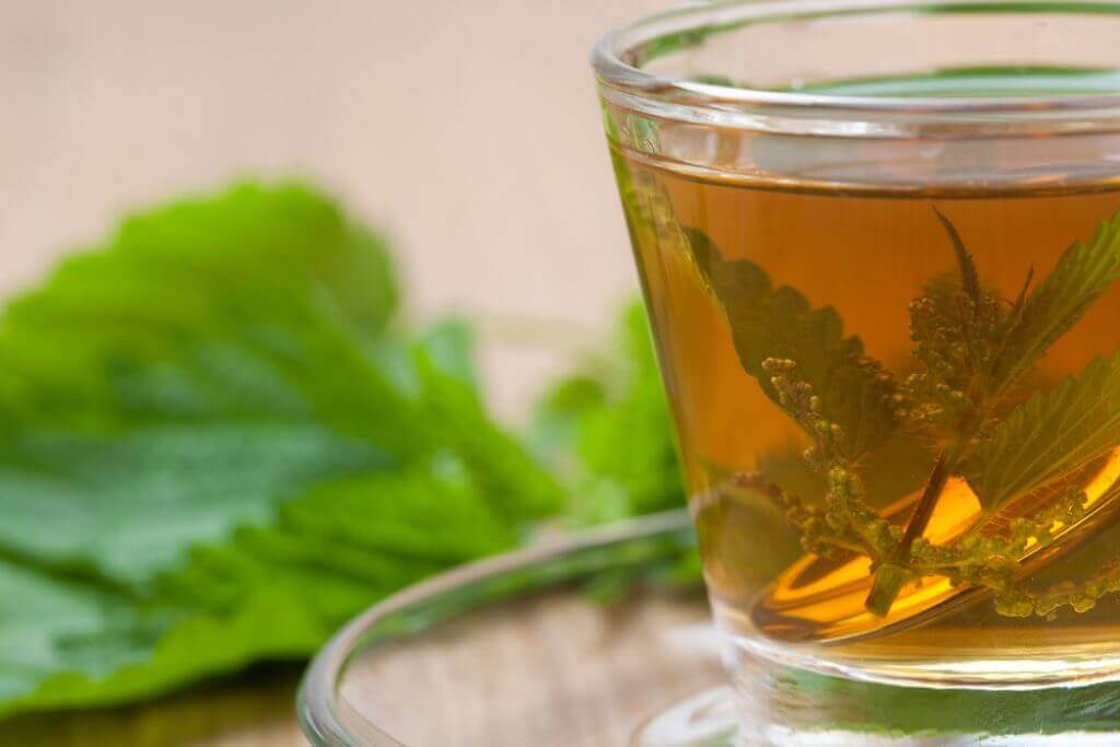 Chá de folhas de urtiga para prevenir pedras nos rins.