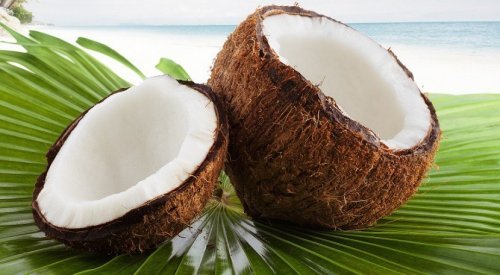 Coco para o flã de coco