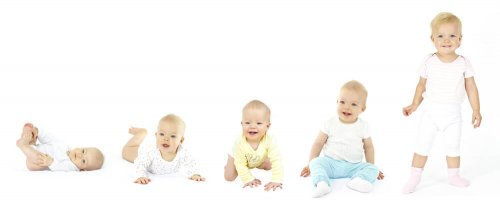 Desenvolvimento ósseo dos bebês a diferentes idades