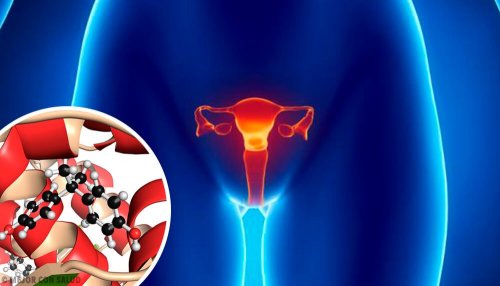 Hormônios que interferem no ciclo de ovulação: Estradiol