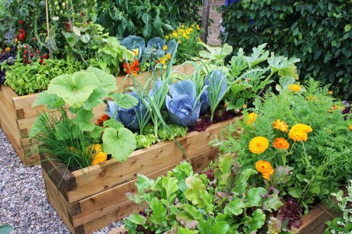 Jardins com flores: ideias surpreendentes