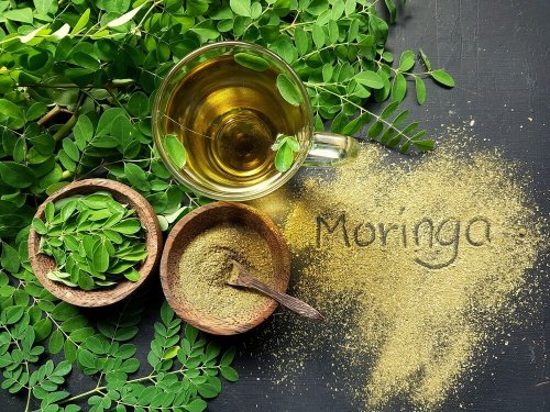 A moringa ajuda a tratar a fibromialgia