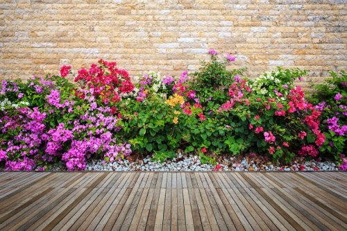 Jardins com flores coloridas