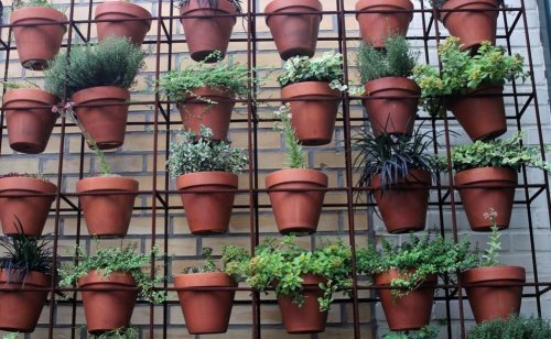 5 maneiras criativas de ter plantas em casa: jardins verticais