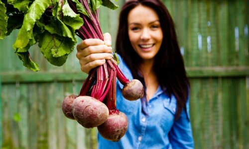 Motivos para incluir o suco de beterraba na dieta