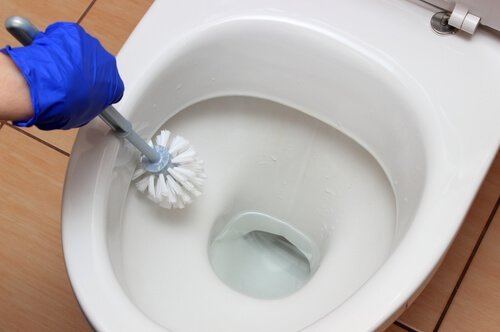 Pessoa usando as pastilhas para desinfetar o vaso sanitário