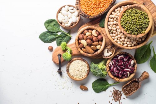 Qual é a qualidade da proteína vegetal?
