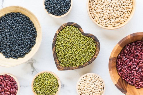 Principais fontes de proteína vegetal