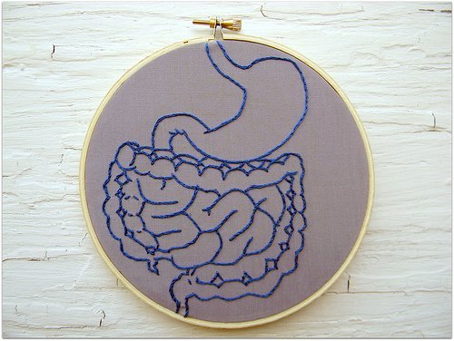 O que deve ser feito para depurar o intestino