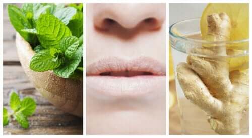 Combata a boca seca com 5 remédios naturais