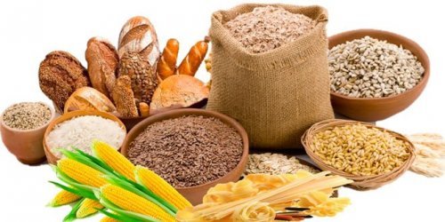 A dieta usada na ginástica rítmica inclui sementes
