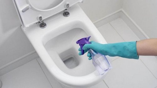 Mulher fazendo limpeza do banheiro com produtos naturais