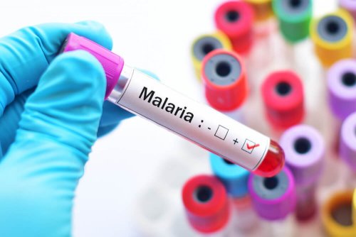 Teste de malária