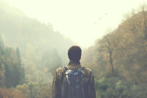 Atividades na natureza: confira suas vantagens