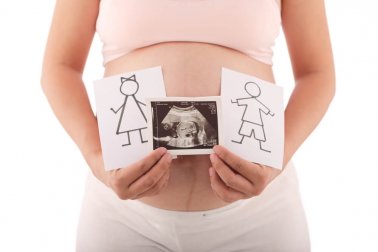 Métodos para predeterminar o sexo do bebê
