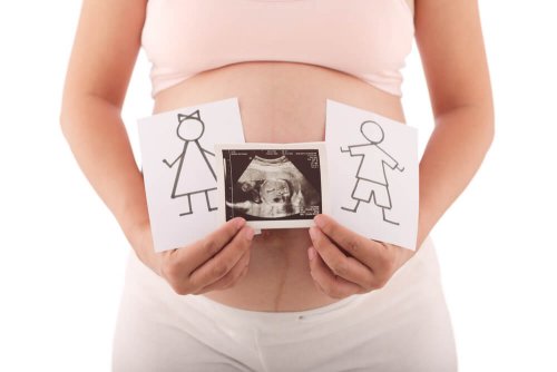 Métodos para predeterminar o sexo do bebê