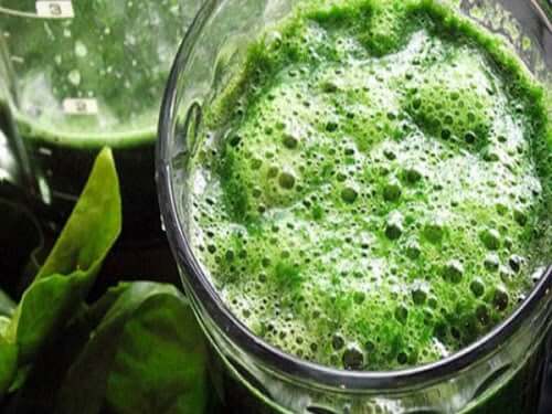 Como posso consumir chlorella?